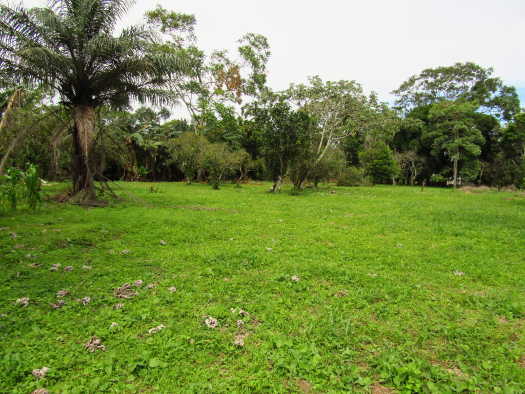 Terreno en Potrerillos Arriba, 5390m²